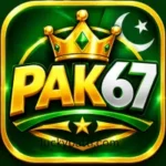 pak67 game